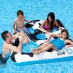 83664 Hole-y Cow Island Lifestyle