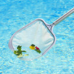18201LSPolyLeafSkimmer03RGB800px