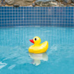 32140 LS DuckChlorineDispenser_02RGB800px