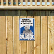 41330 | 12'' x 18'' Alight... Who Peed in the Pool? - Lifestyle 2