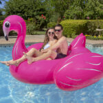 83678LSFlamingoIslandCoupleRGB800px