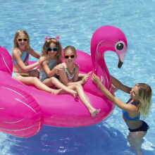 83678LSFlamingoIslandProfile2019TwoGirlsOneAdult2RGB800px