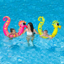 81746 LS SeahorseNoodleGroupPicture1RGB800px