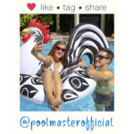 87161RoosterTubePolaroidRGB800px
