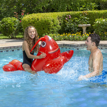 Lobster Rider