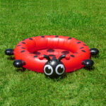 81609 | Ladybug Pool - Lifestyle 6