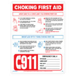 40371 Prd FirstAid ChockingSign RGB800px