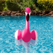81432 | Flamingo Pool Decor Lifestyle 1