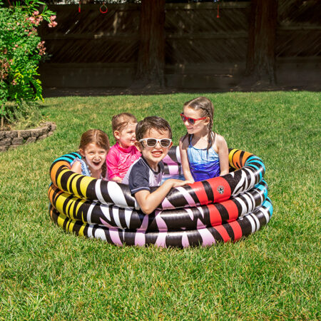 Zebra Pool