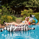 81747 LS Zebra Jumbo Rider 04RGB 800px