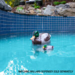 25309 LS MallardDuckTherm_TEXT_04RGB800px