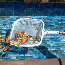 21156 LS PoleSkimmer 01RGB 800px